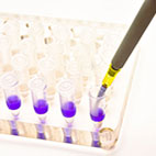 68582140 s PCR Platte blau quadr