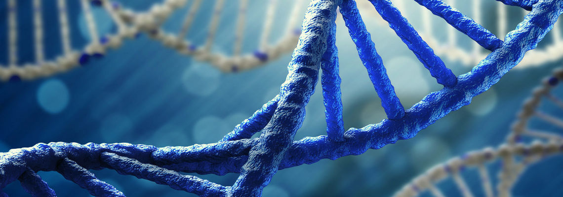 Slider - DNA-free PCR Reagents
